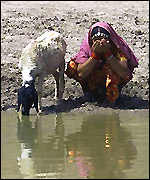 Woman and goat at pound